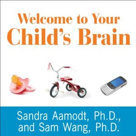 09 welcome to your childs brain