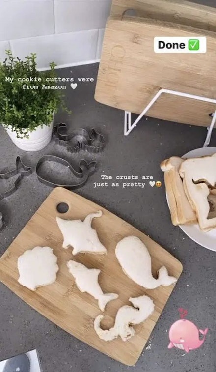1 stacey used the sea themed cutters to make cute shapes in her the sandwiches for her boys