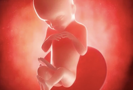 20 weeks pregnant