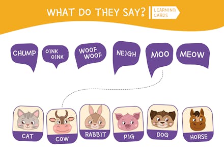 1) Animal antics