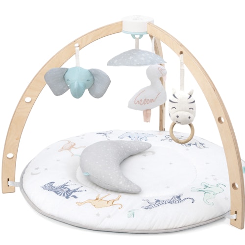 aden+anais baby activity gym