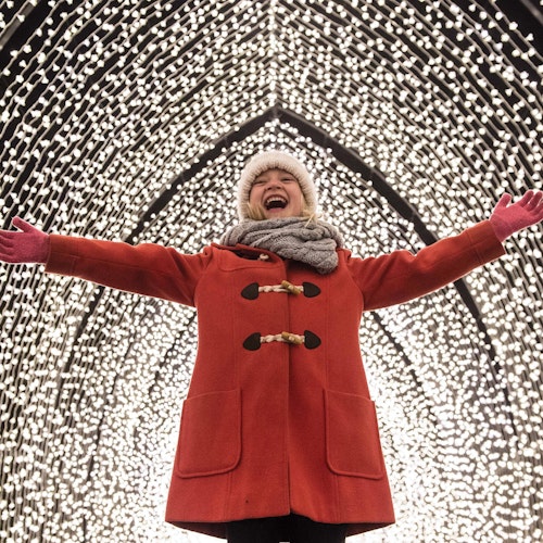 Illuminations at Bedgebury, Kent