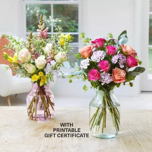 Bloom u0026amp; Wild Classic Blooms Subscription