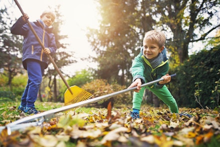 boy garden chore