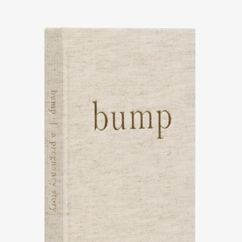 Bump: A Pregnancy story
