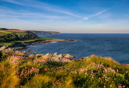 devon