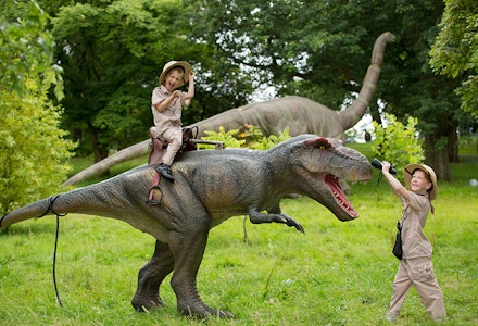 dinos at bute
