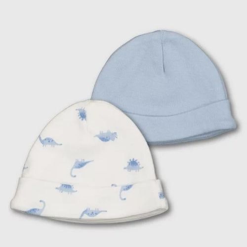 Dinosaur Print Premature Baby Hat 2 Pack