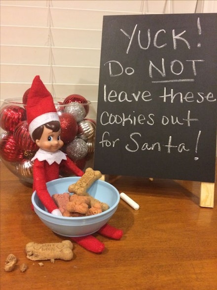 dog biscuit elf