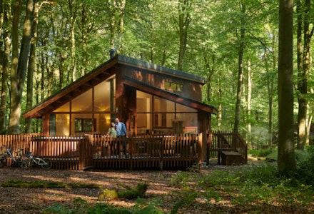 forest holidays