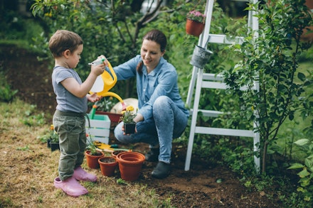 gardening