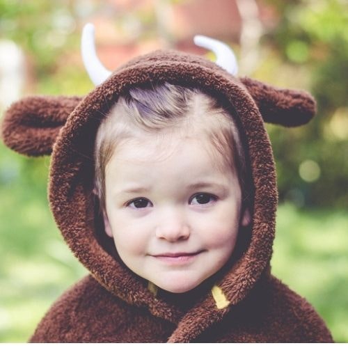 Gruffalo costume