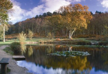 kelling heath