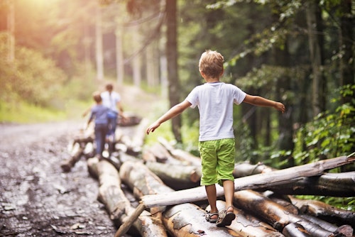https://forestryandland.gov.scot/visit/forest-parks/queen-elizabeth-forest-park/the-lodge-forest-visitor-centre The Lodge Forest Visitor Centre