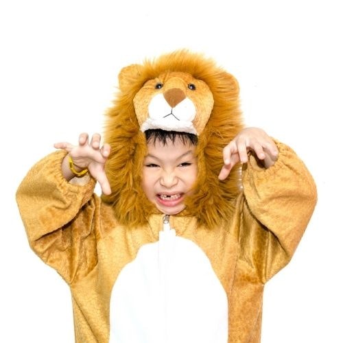 Lion costume