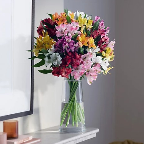 Mu0026amp;S Rainbow Alstroemeria Bouquet