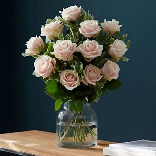 Pink Avalancheu2122 Roses