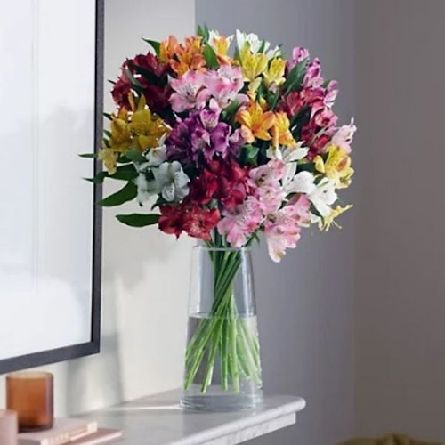 Rainbow Alstroemeria Bouquet