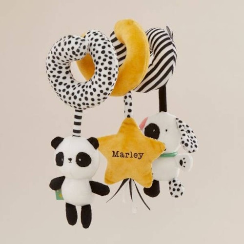 Personalised Mini Mono Spiral Activity Toy