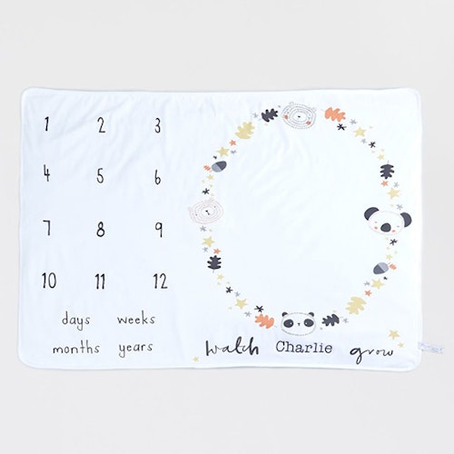 Personalised Monochrome Baby Milestone Blanket