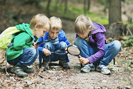 nature walk children