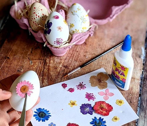 Pressed flowers