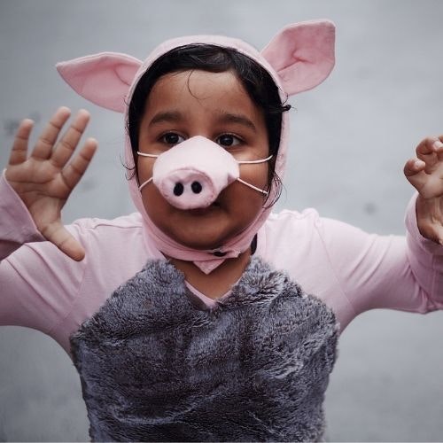 Pig costumes