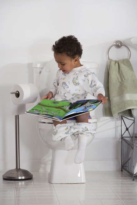 potty training boys book