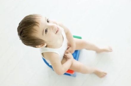 potty training toddler age