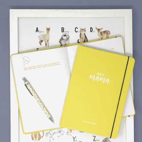 Pregnancy Journal And Planner