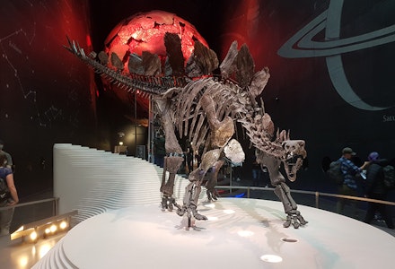 queens gate review dinosaur