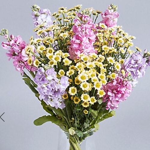Scented Stocks u0026amp; Chrysanthemum
