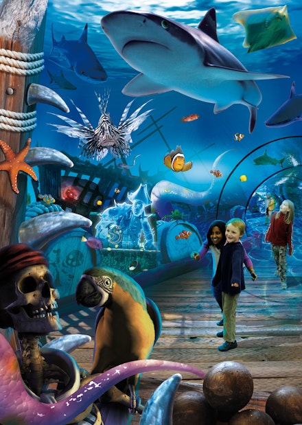sharkbait reef sealife