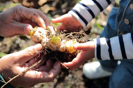 soil toddler