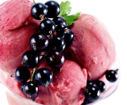 sorbet00101