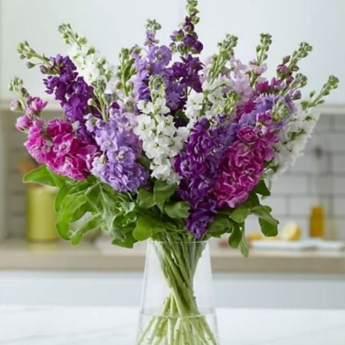 British Stock Abundance Bouquet