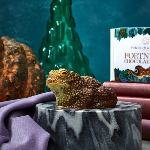Uncommon Chocolate Toad