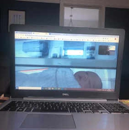 virtual babysitting