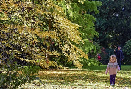 1) Westonbirt Arboretum, Gloucestershire