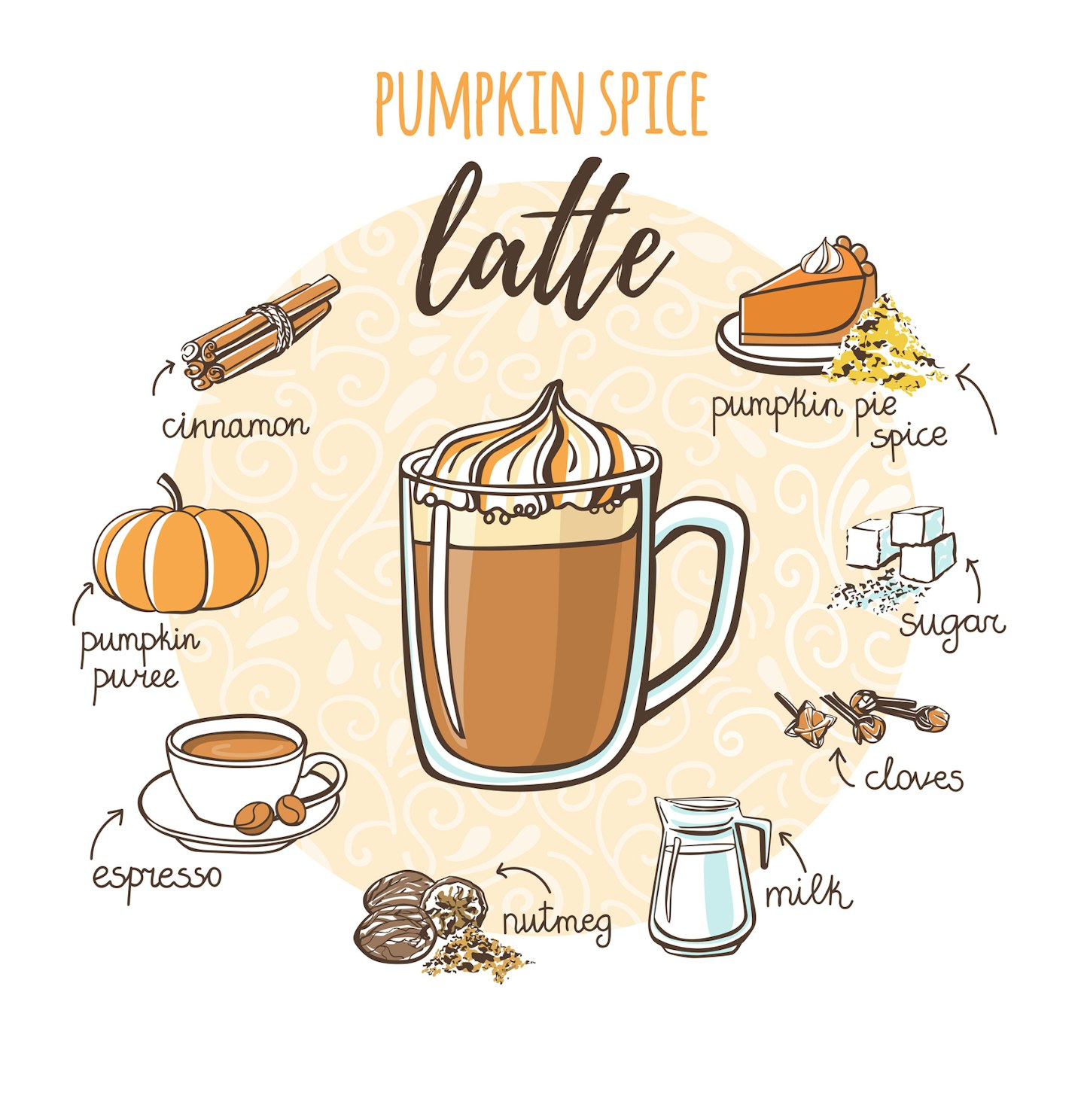 Vector illustration of Pumpkin spice latte ingredients