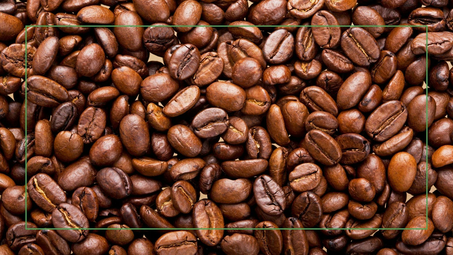 Best Coffee Beans For Your Morning Cup Food & Drink A Modern Kitchen