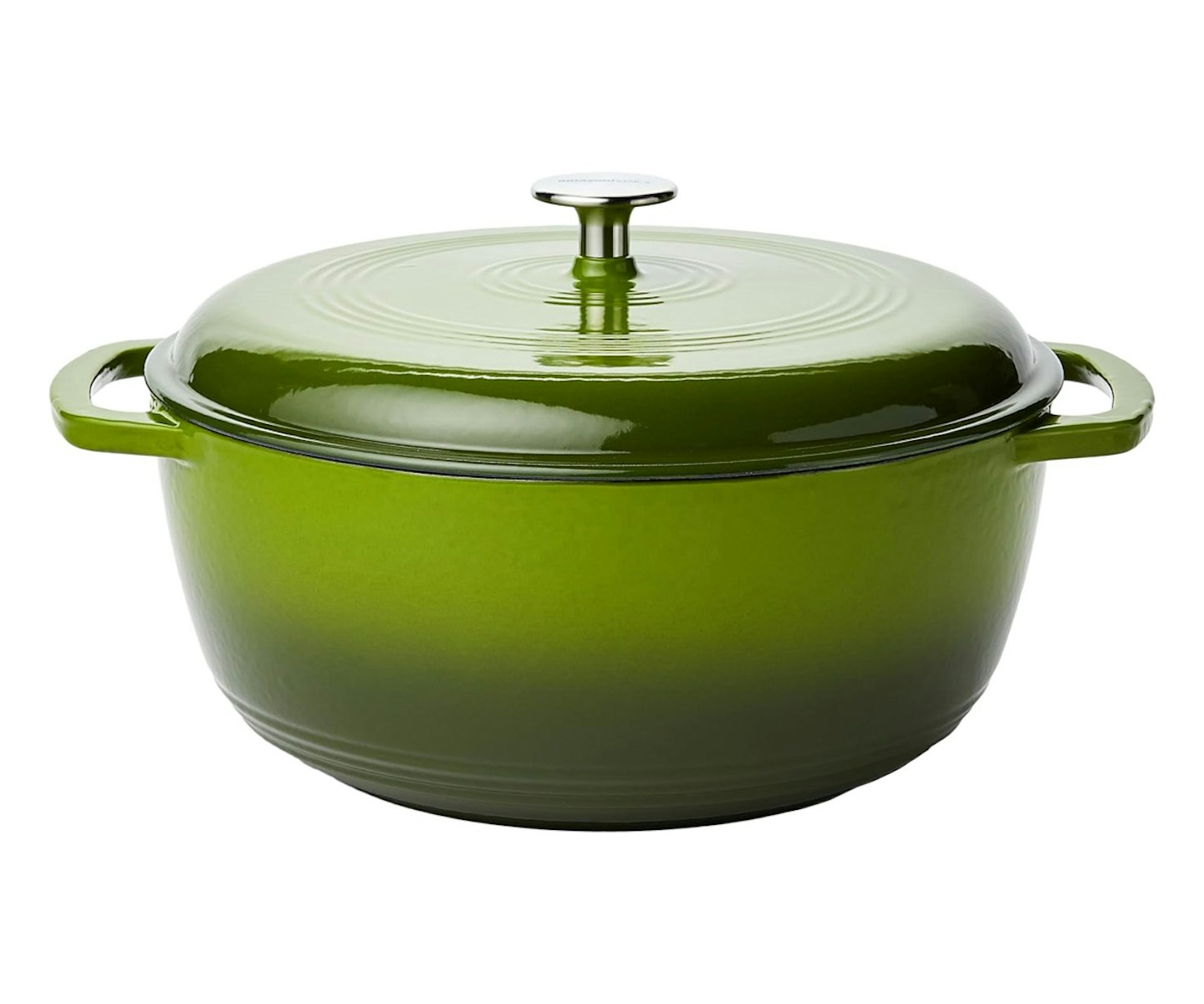 Amazon Basics Enameled Cast Iron