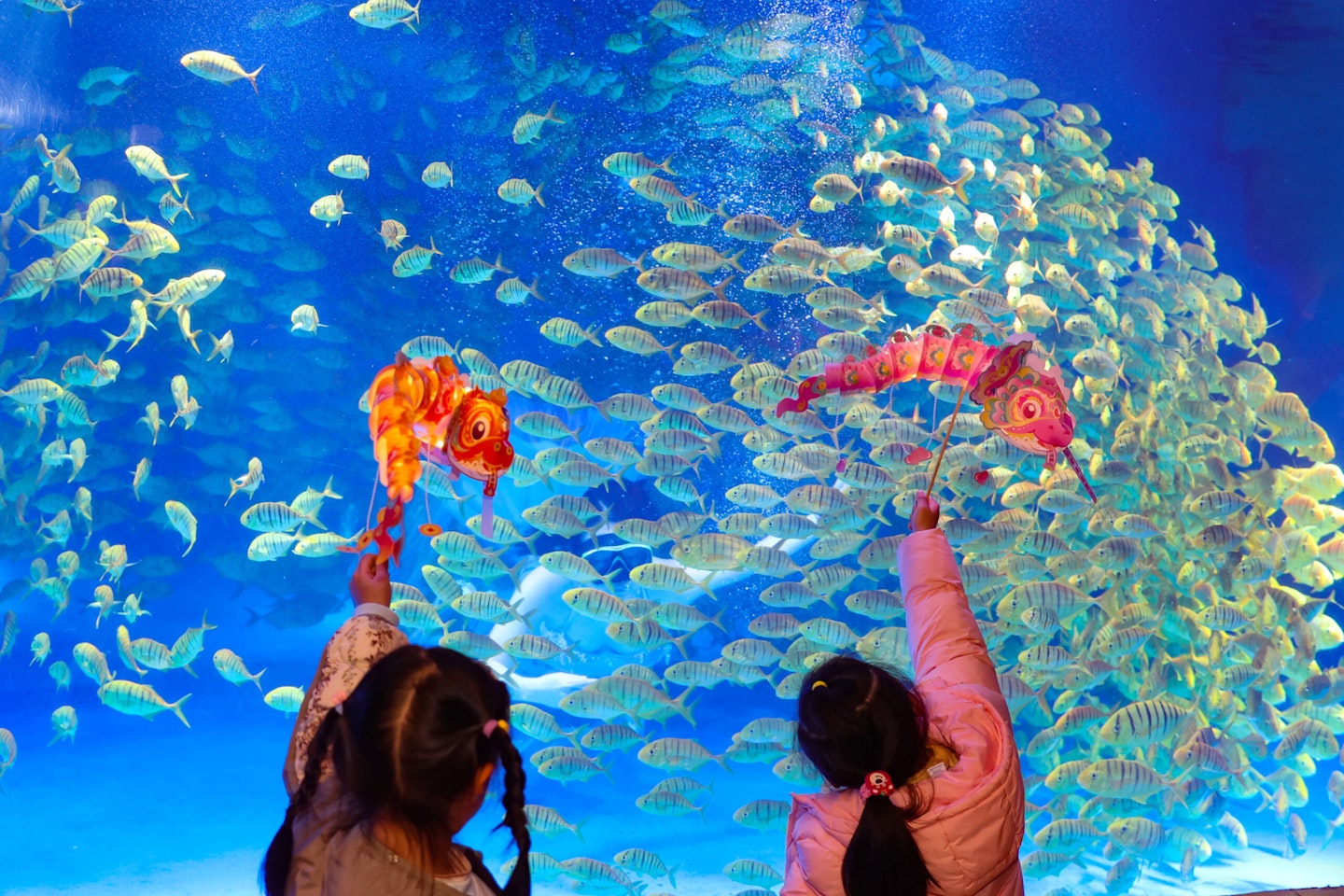 Aquarium
