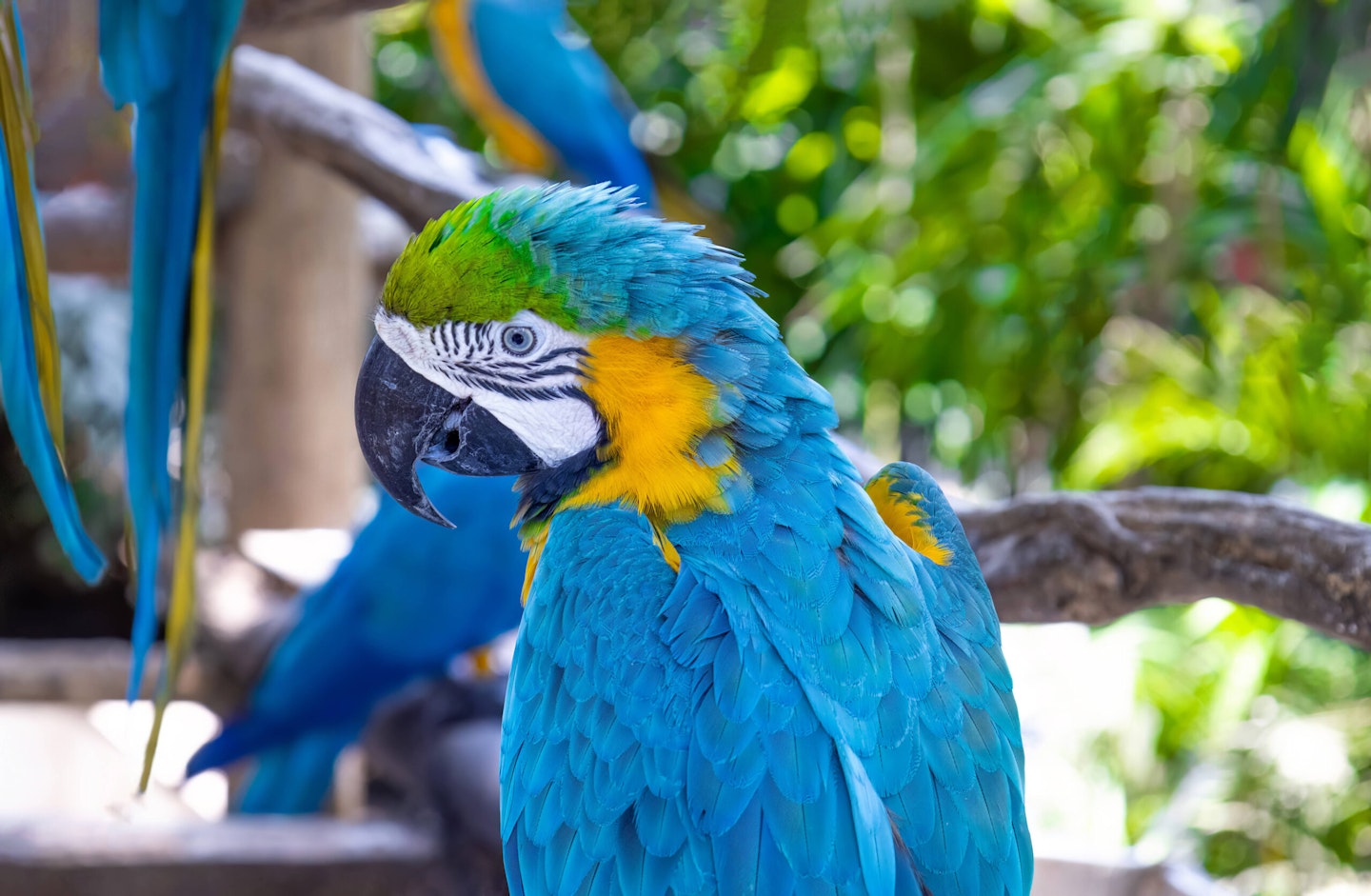London Zoo