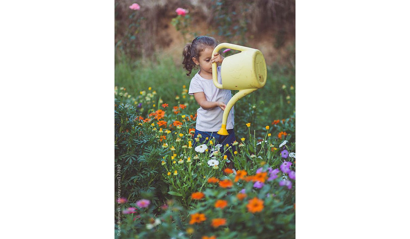 child friendly plants