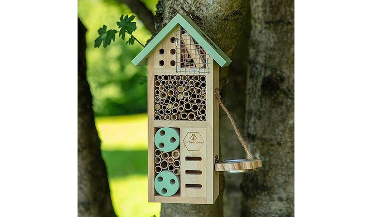 insect hotel