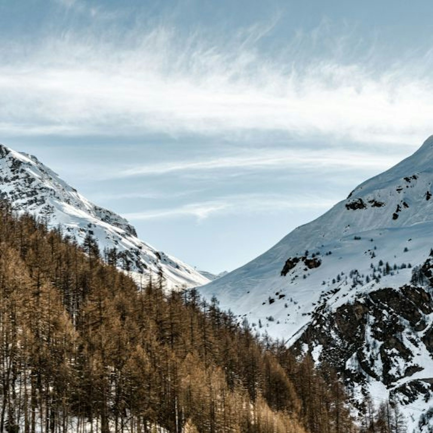 Mountain valley with pine trees