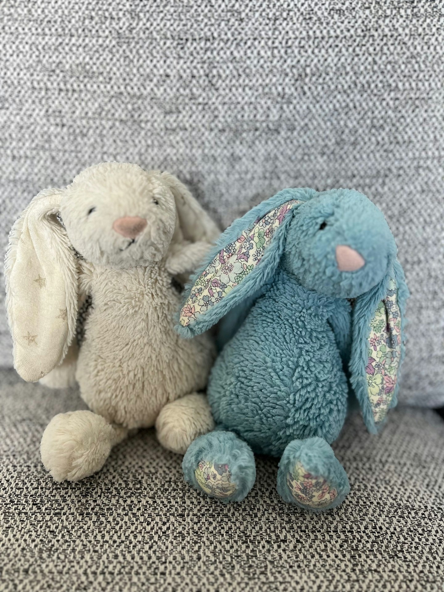 An image of one white and one blue jelly cat bunny rabbits sitting together.