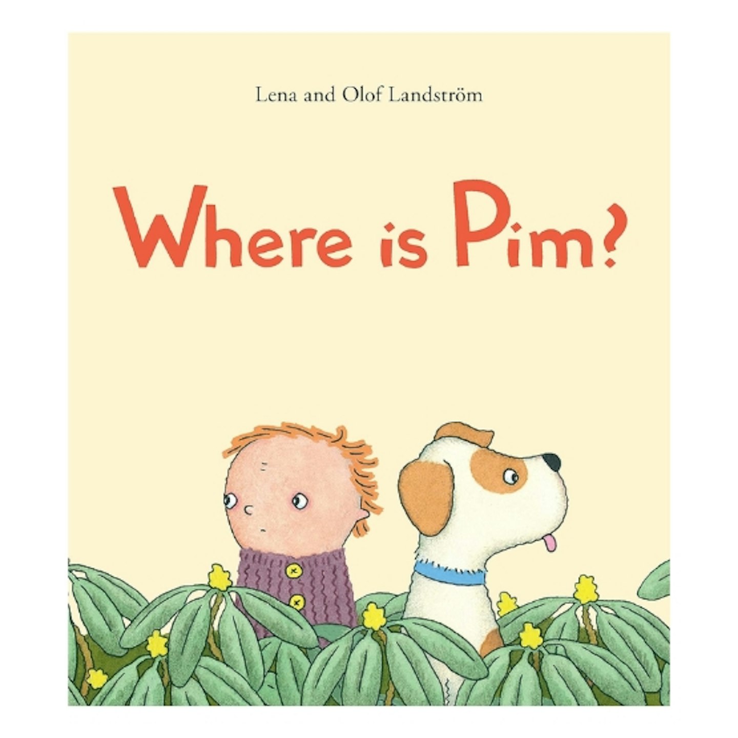 Where is Pim?