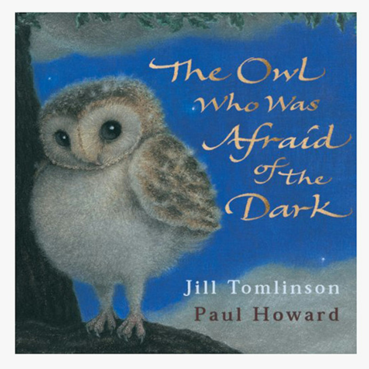 owl afraid of the dark